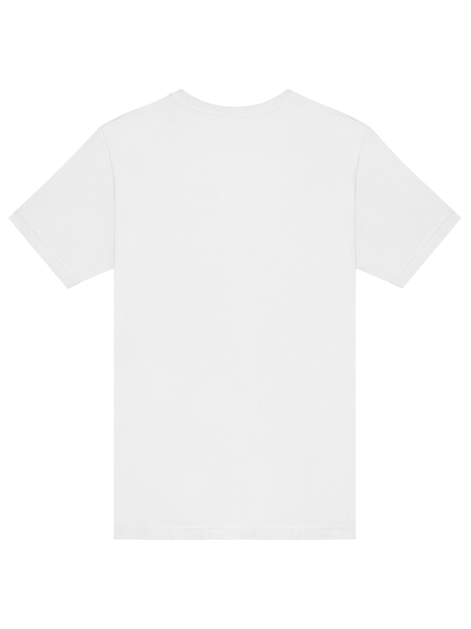 Arms Down, Head Back & Hold On - 420/120 Tee product image (27)