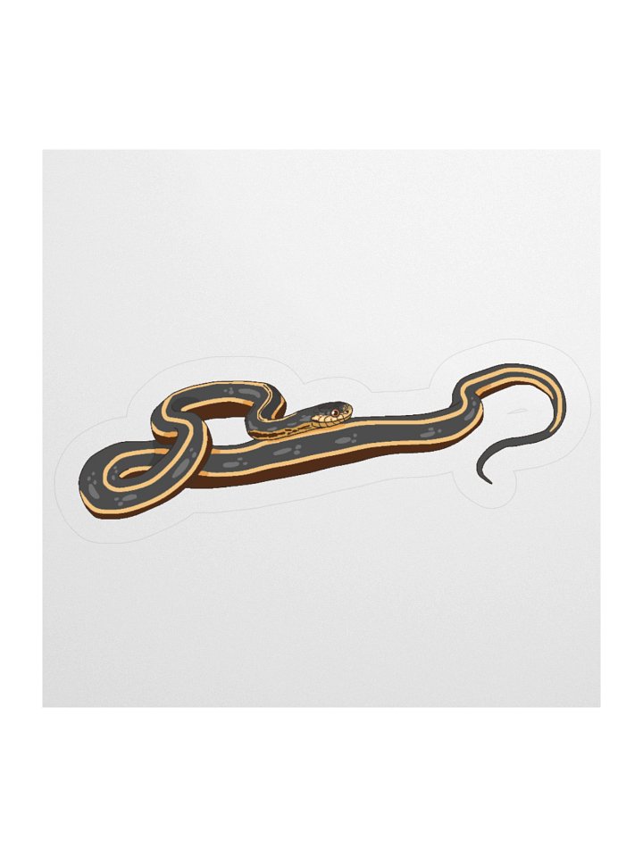 Butler's Garter Snake - Thamnophis butleri Sticker product image (3)