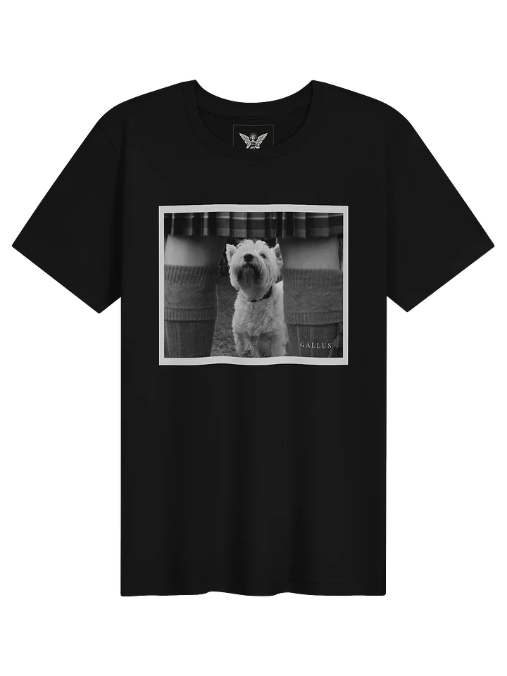 Wee Jock Highland Games Scotland 2010 - T-Shirt product image (1)