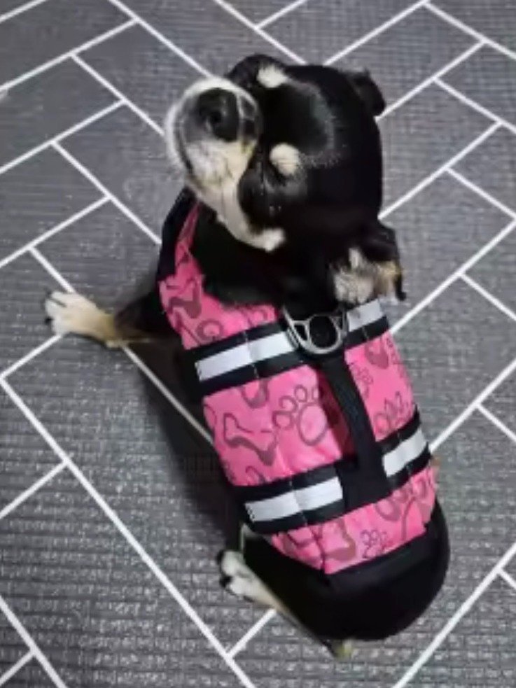 Life Jackets For Dogs and Cats product image (6)
