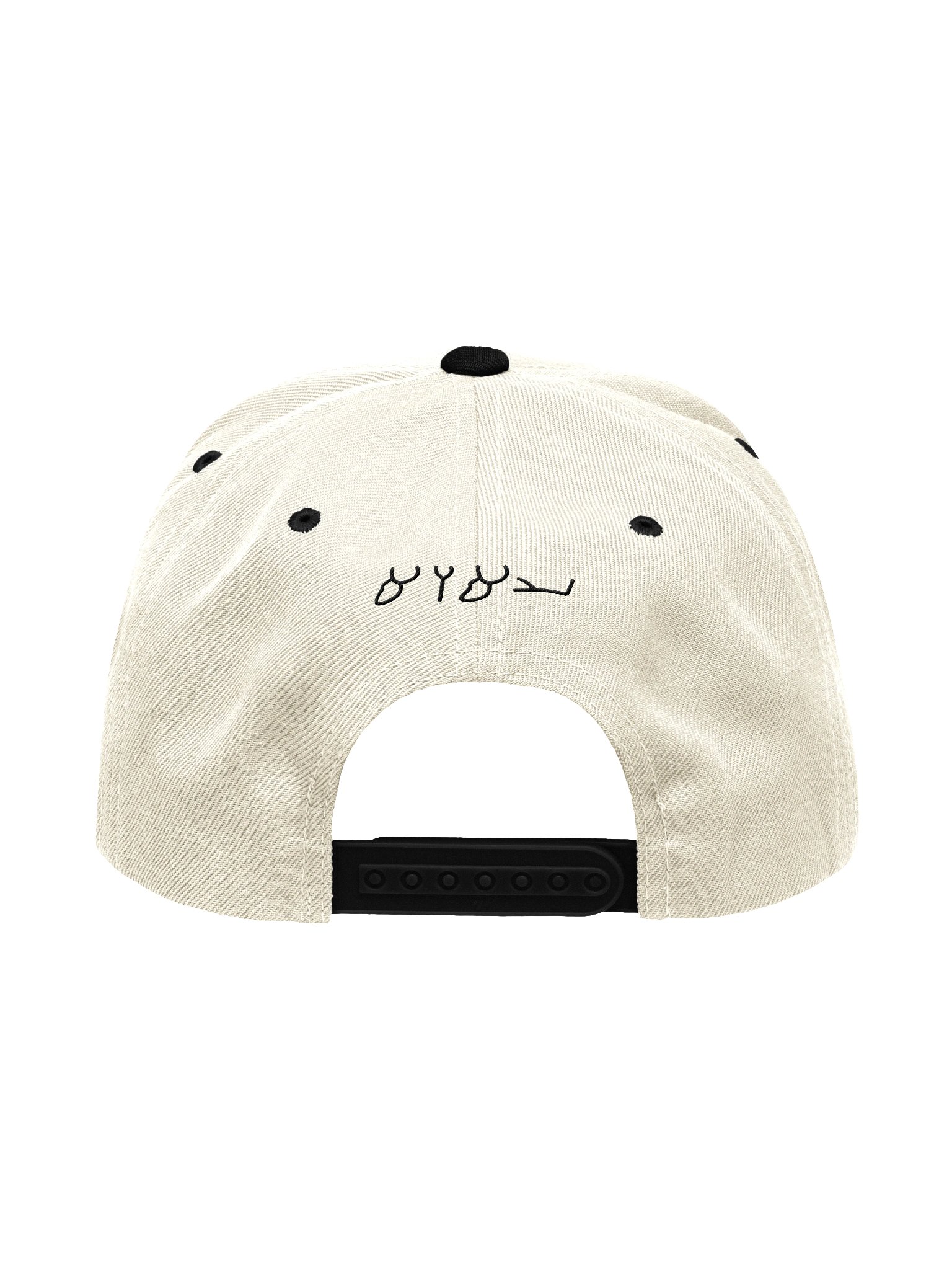 Knowledge Snapback | YAHUAH product image (5)