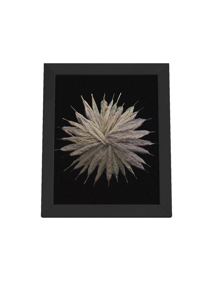 Joint Feathers product image (1)