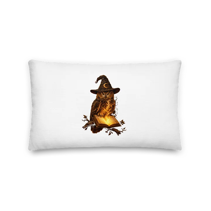Almohada El Búho Guardián — Rincón de Ana product image (1)