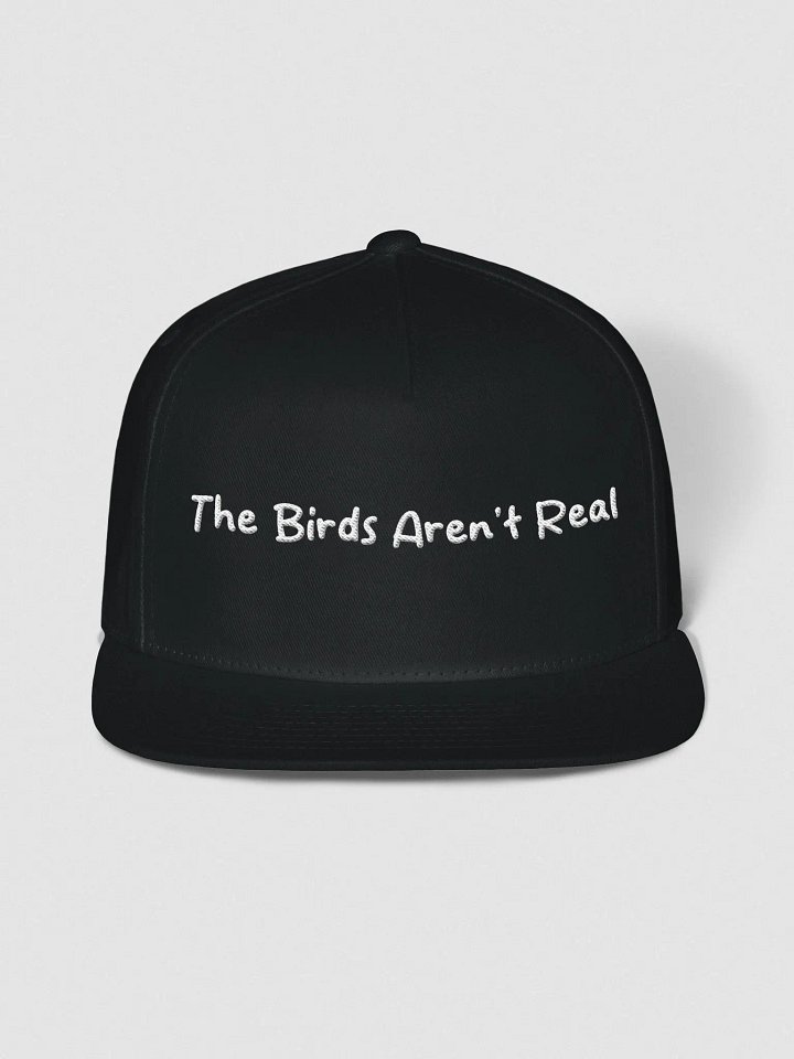 Government Spies Snapback product image (1)