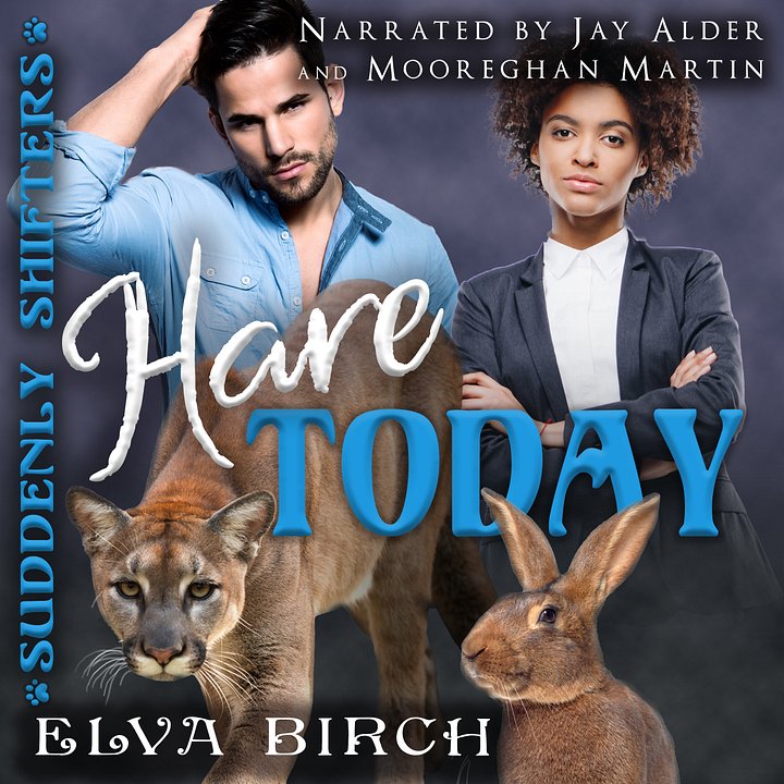 Hare Today - Audiobook product image (1)