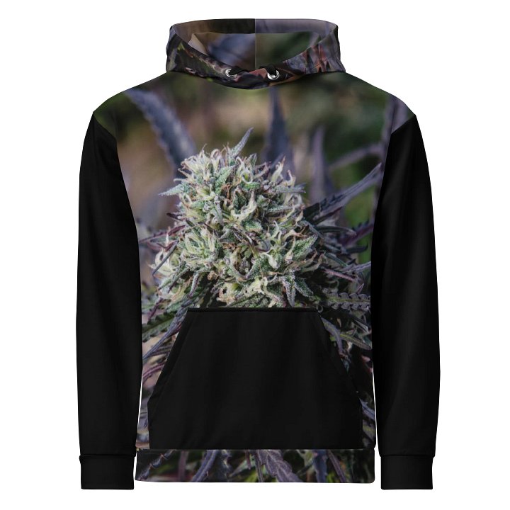 Royal Purple Cultvated Hoodie product image (1)