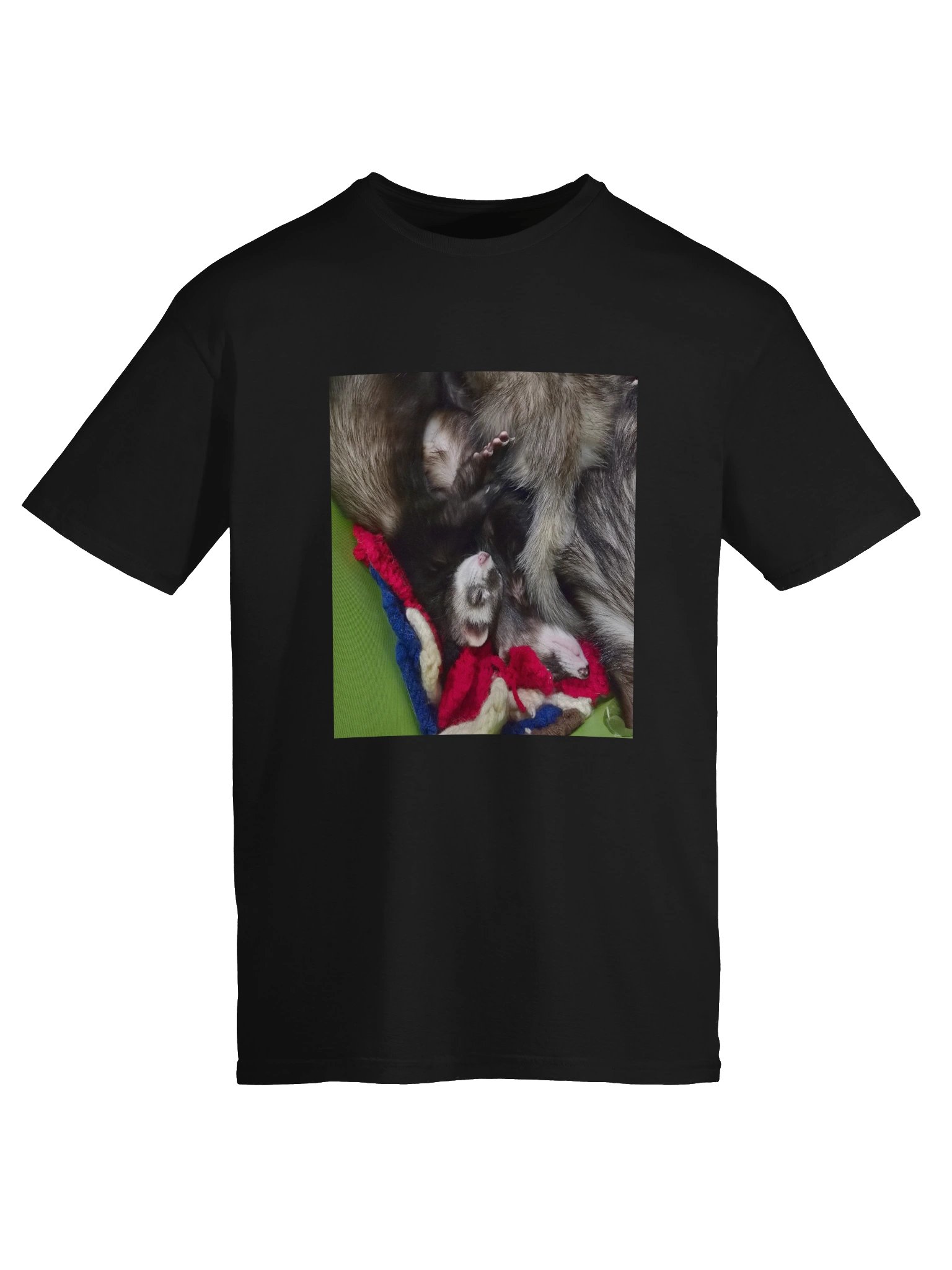 Sleepy Ferrets product image (145)