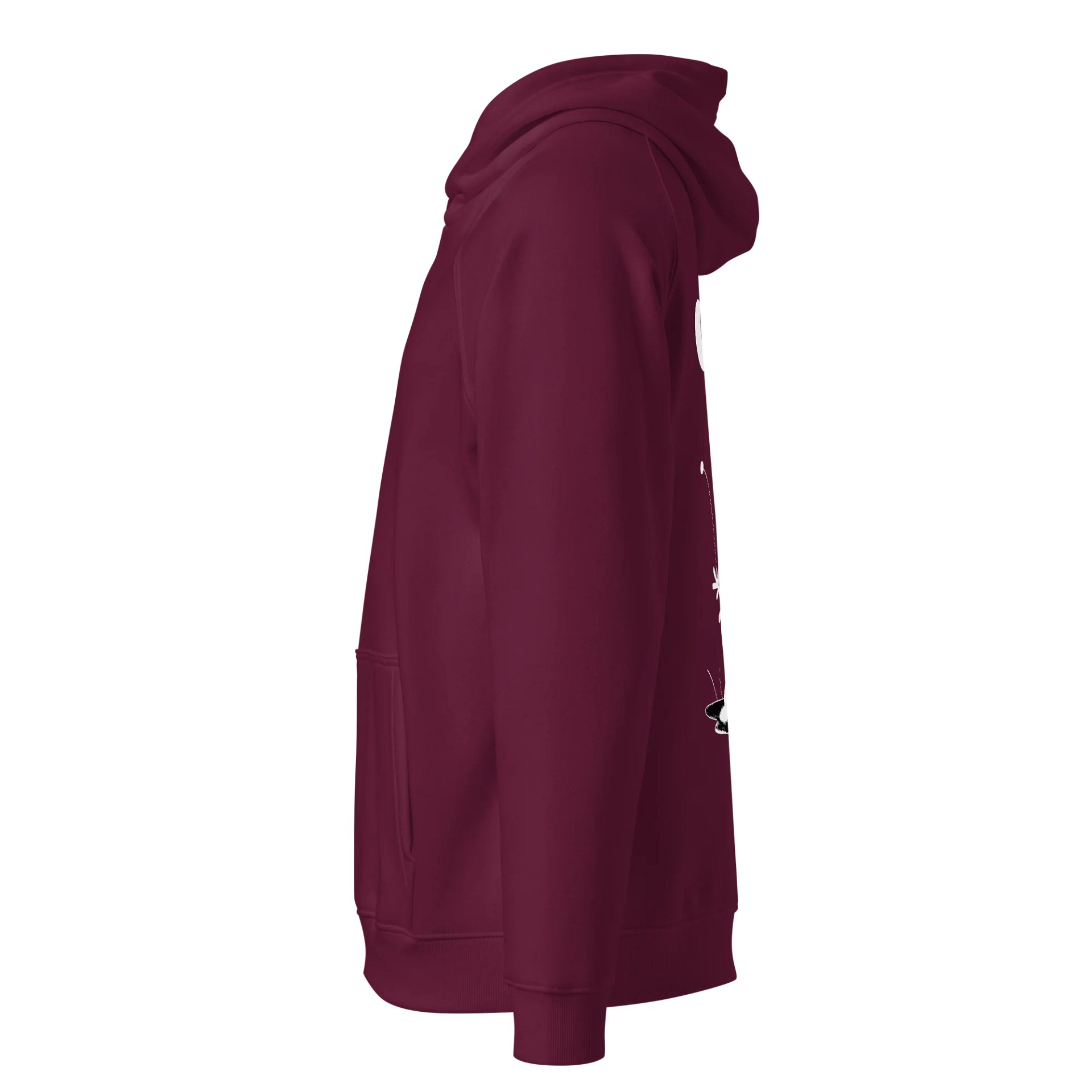 SOL'S Unisex Eco Raglan Hoodie product image (3)