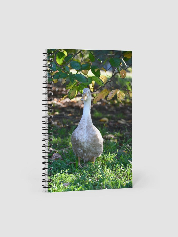 Quatie's Quackers Notebook product image (1)