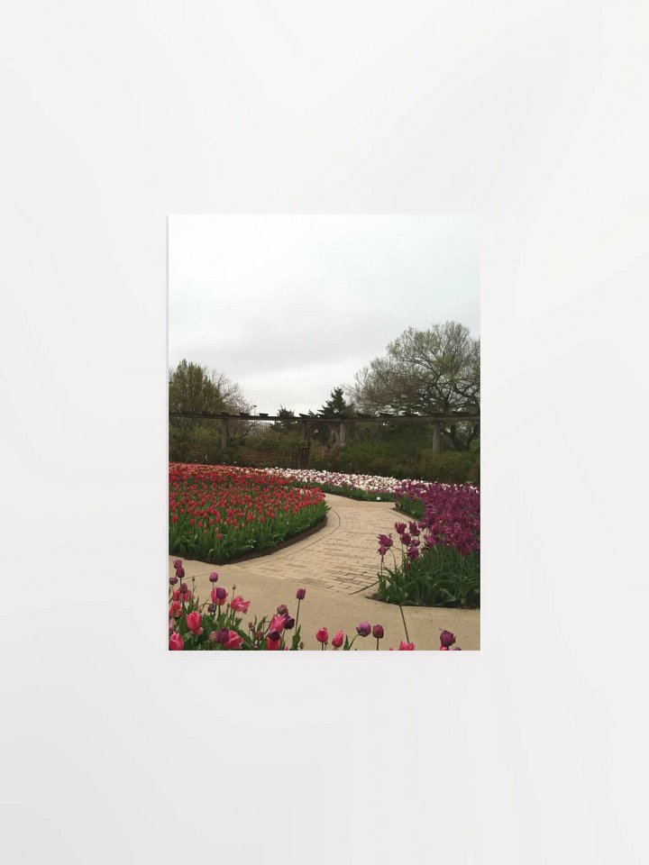 Tulip Season product image (1)
