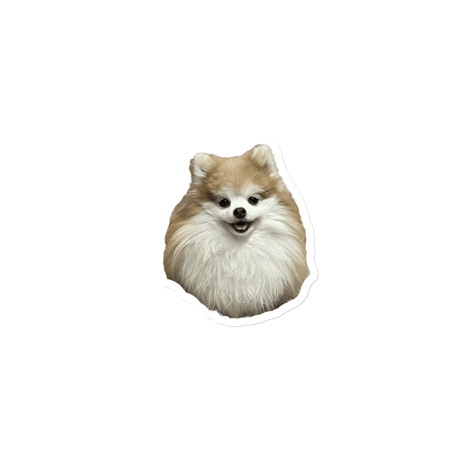 Floof Magnet product image (1)