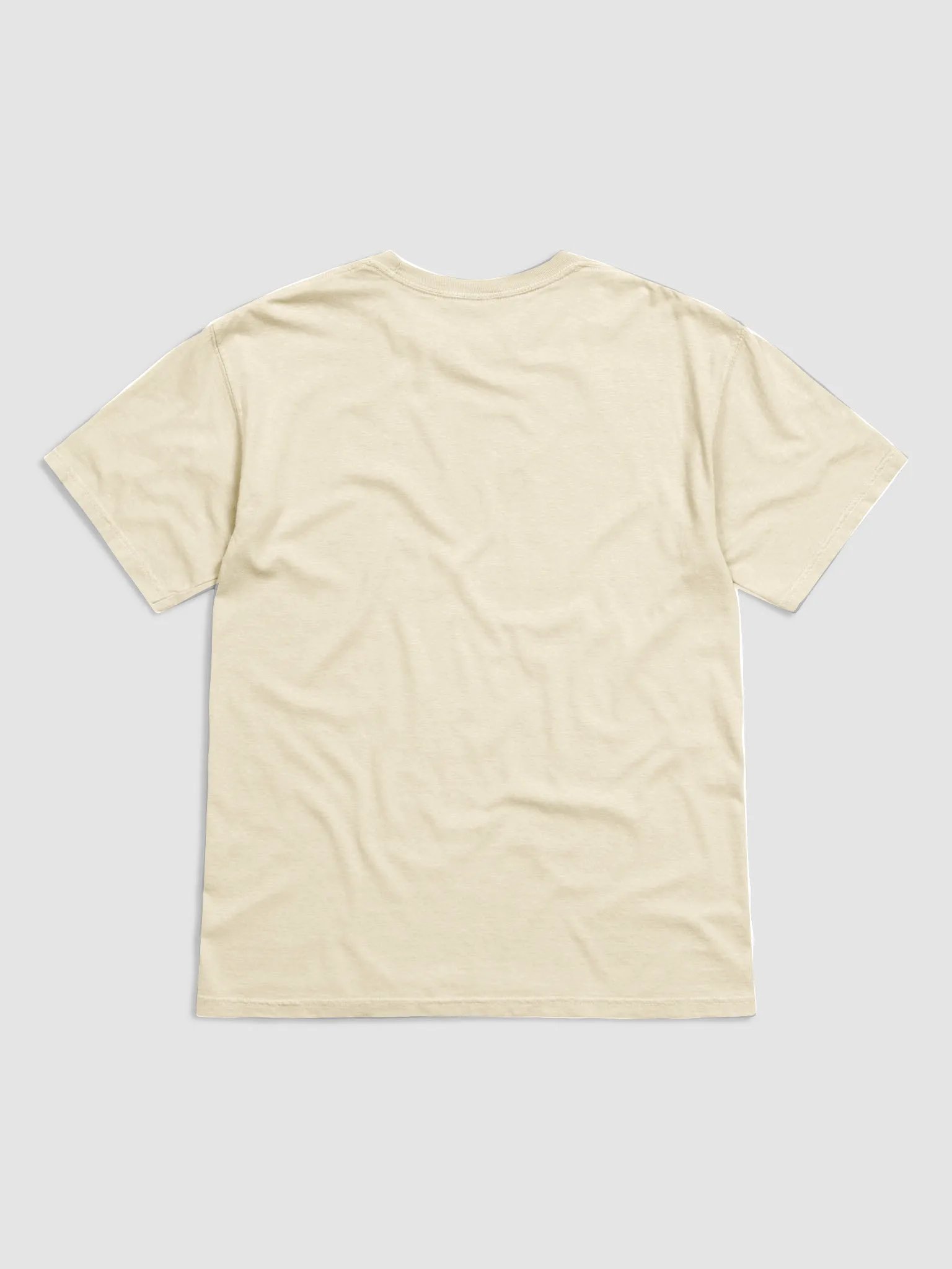 PIXMIN T-Shirt product image (2)