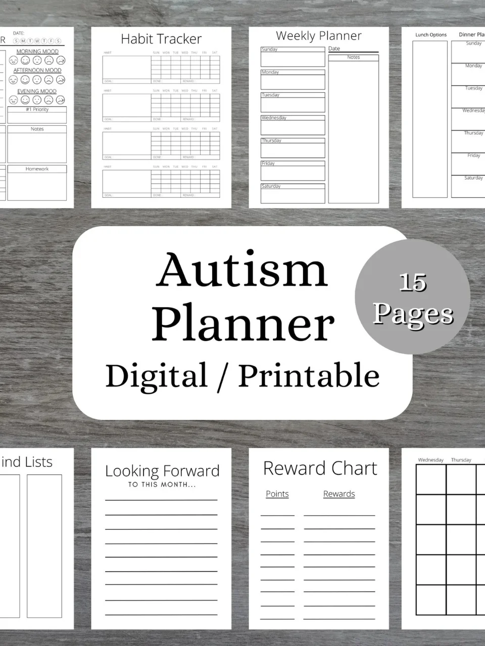 Autism Planner PDF product image (1)