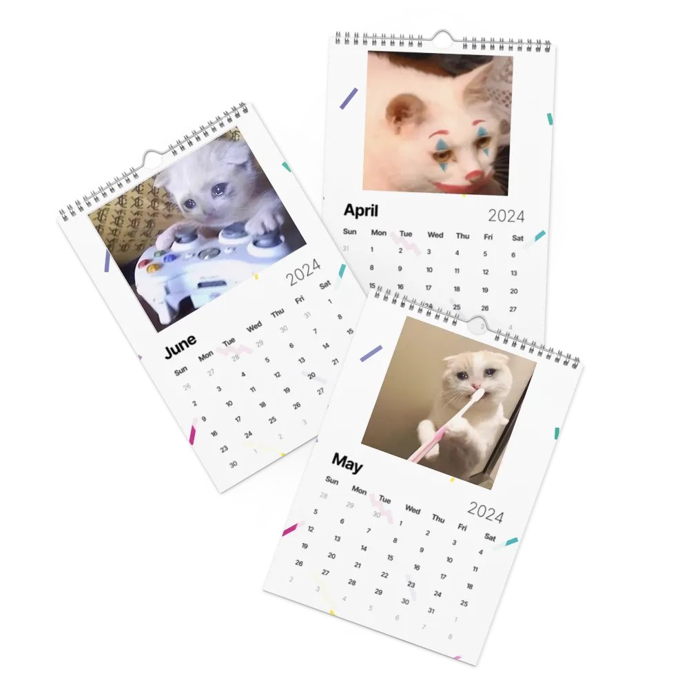 Wall Calendar (2024): Meme Cats product image (3)