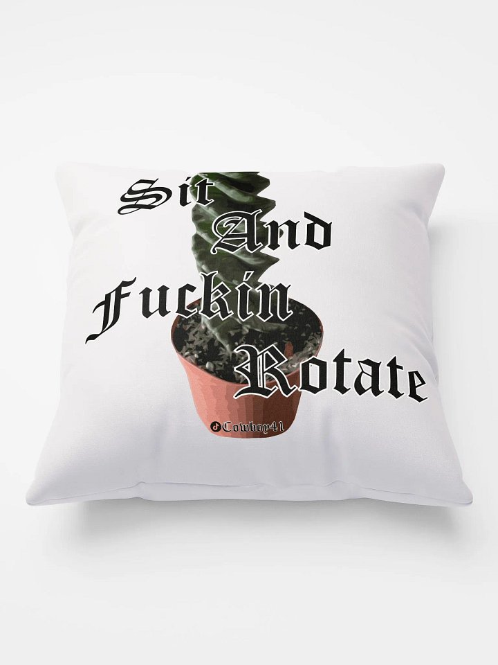 Sit and Rotate Pillow product image (1)