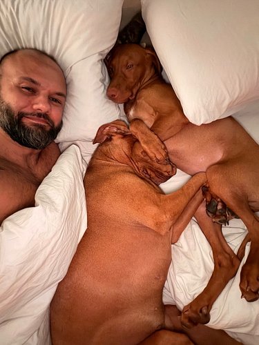 Meet @moiraanddaviddog and their human, @peterjmadden79.

Officially members of the pack. 

#dogs #dogdad #dogdadlife #thedogdad