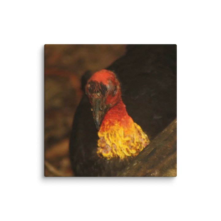 Turkey Canvas product image (1)