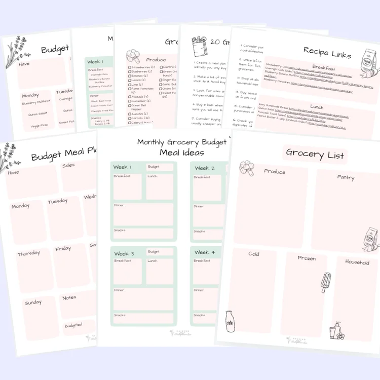 Budget Meal Plan product image (1)