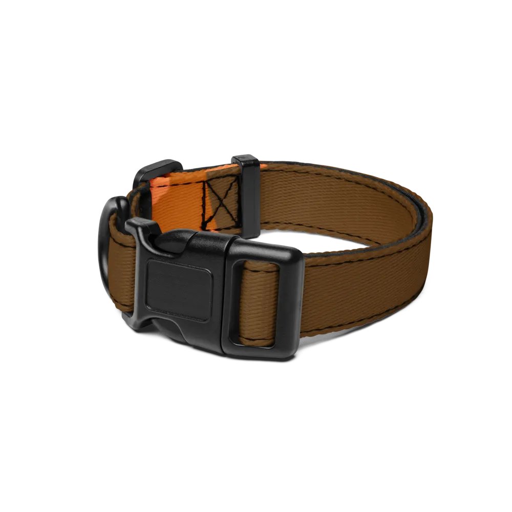 Orange Glow Pet Collar product image (1)