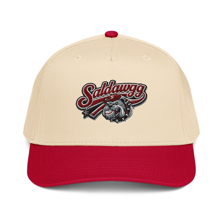 Take me out to the ball game product image (1)