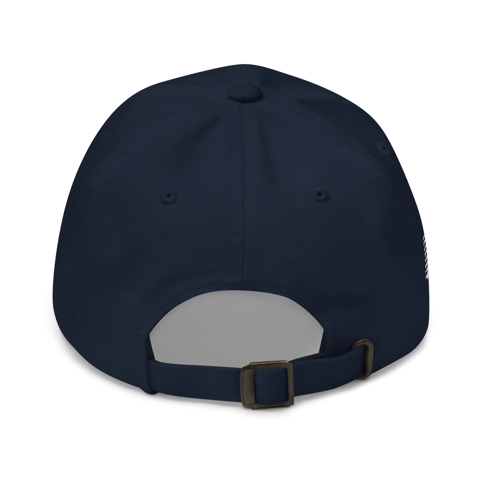 Authenticity Speed Logo hat product image (5)