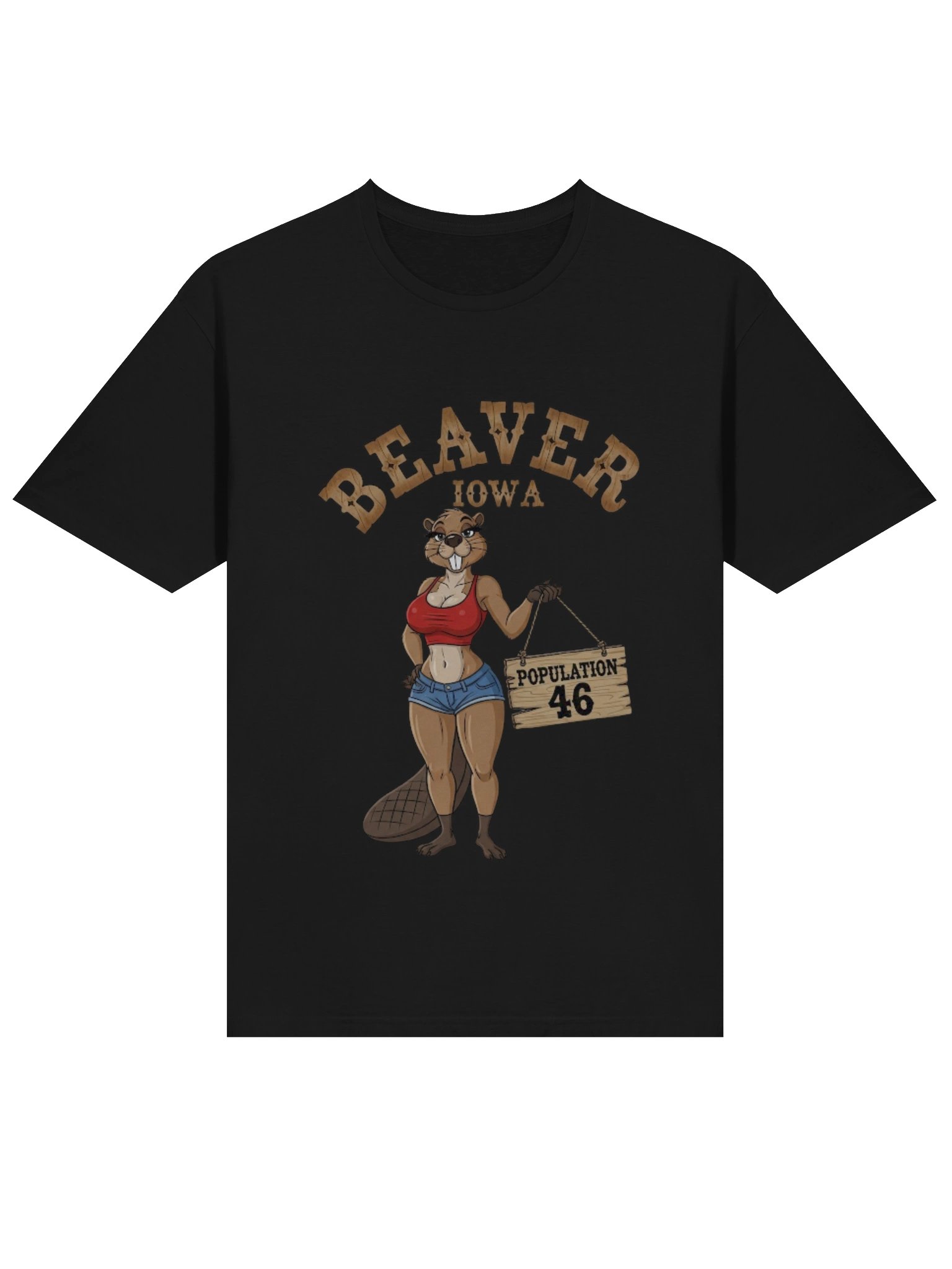 Beaver Iowa T-Shirt product image (20)