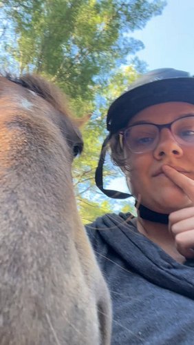 Who needles a halter when you have a perfect horse? 
Jules is very much enjoying having a job again, and also enjoying once a...