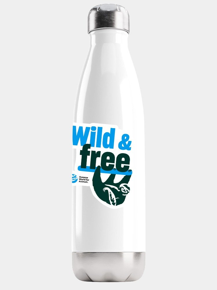 Wild & Free Sloth - Sticker product image (1)