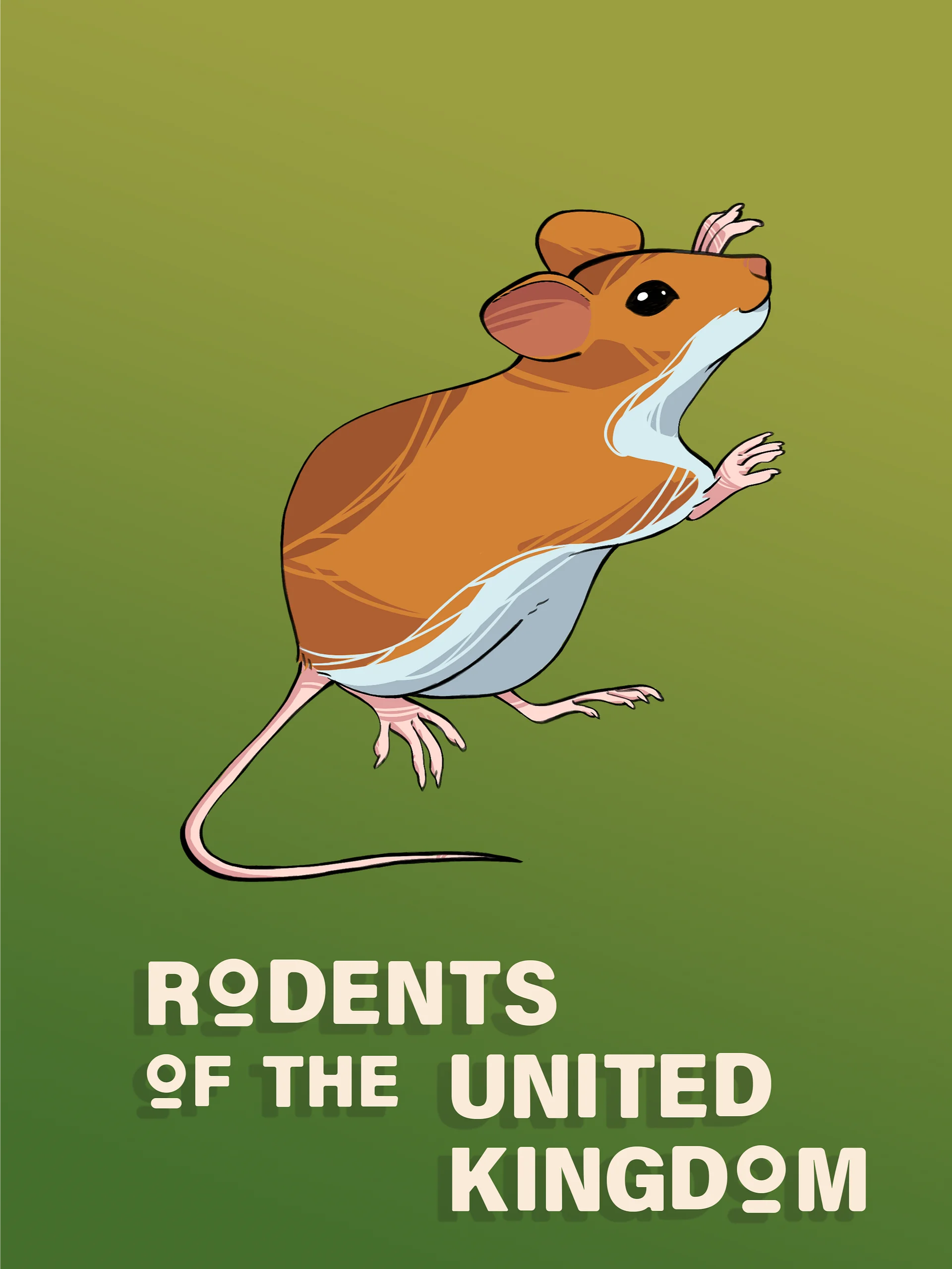 Rodents of the United Kingdom Icon Pack product image (3)