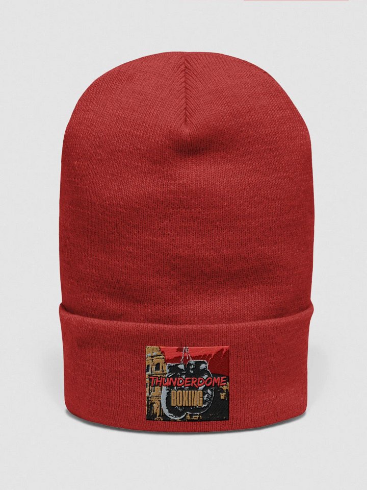 ThunderDome Winter Beanie !! product image (32)