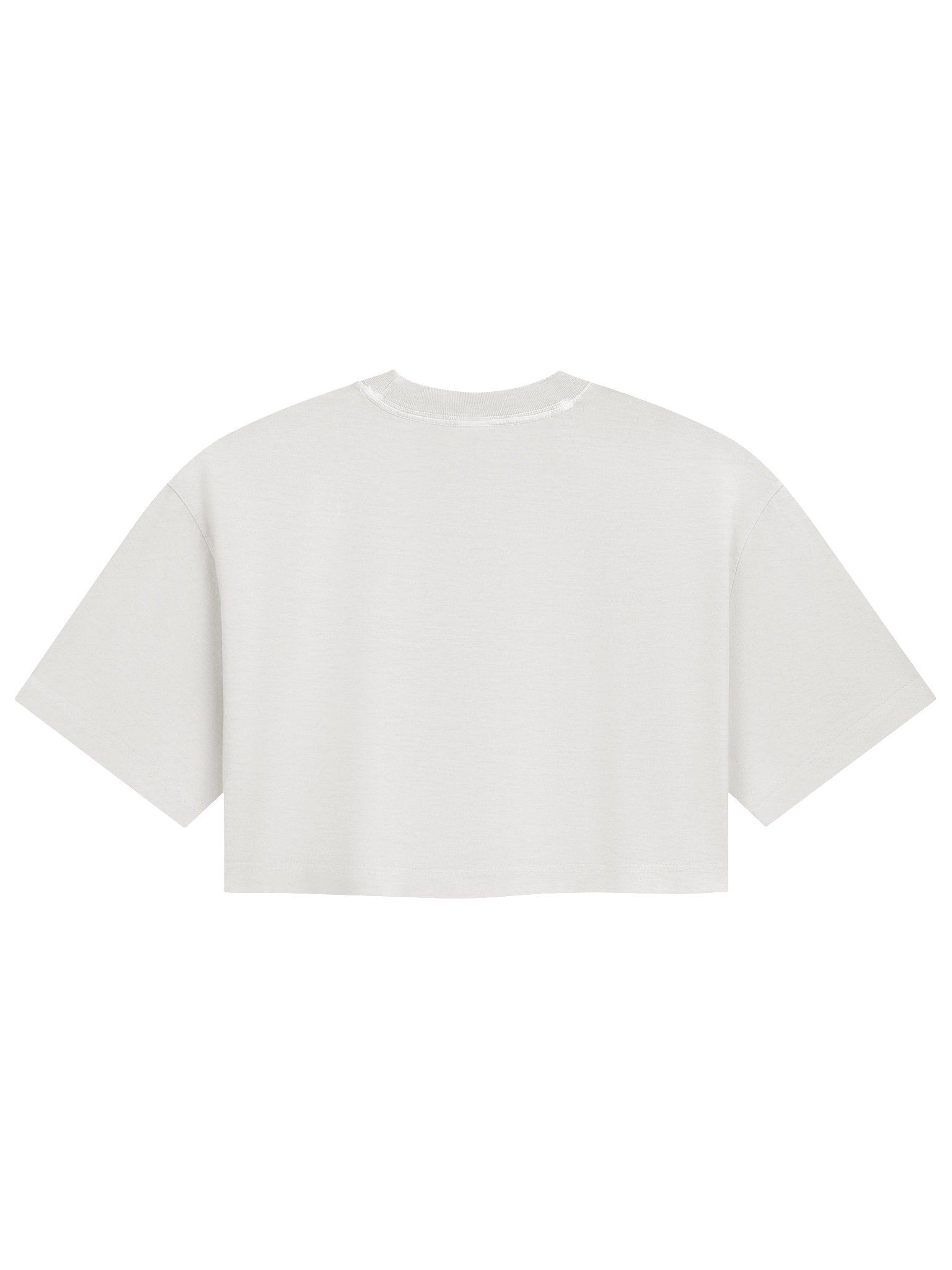 Leopard NRG Cropped Tee product image (4)