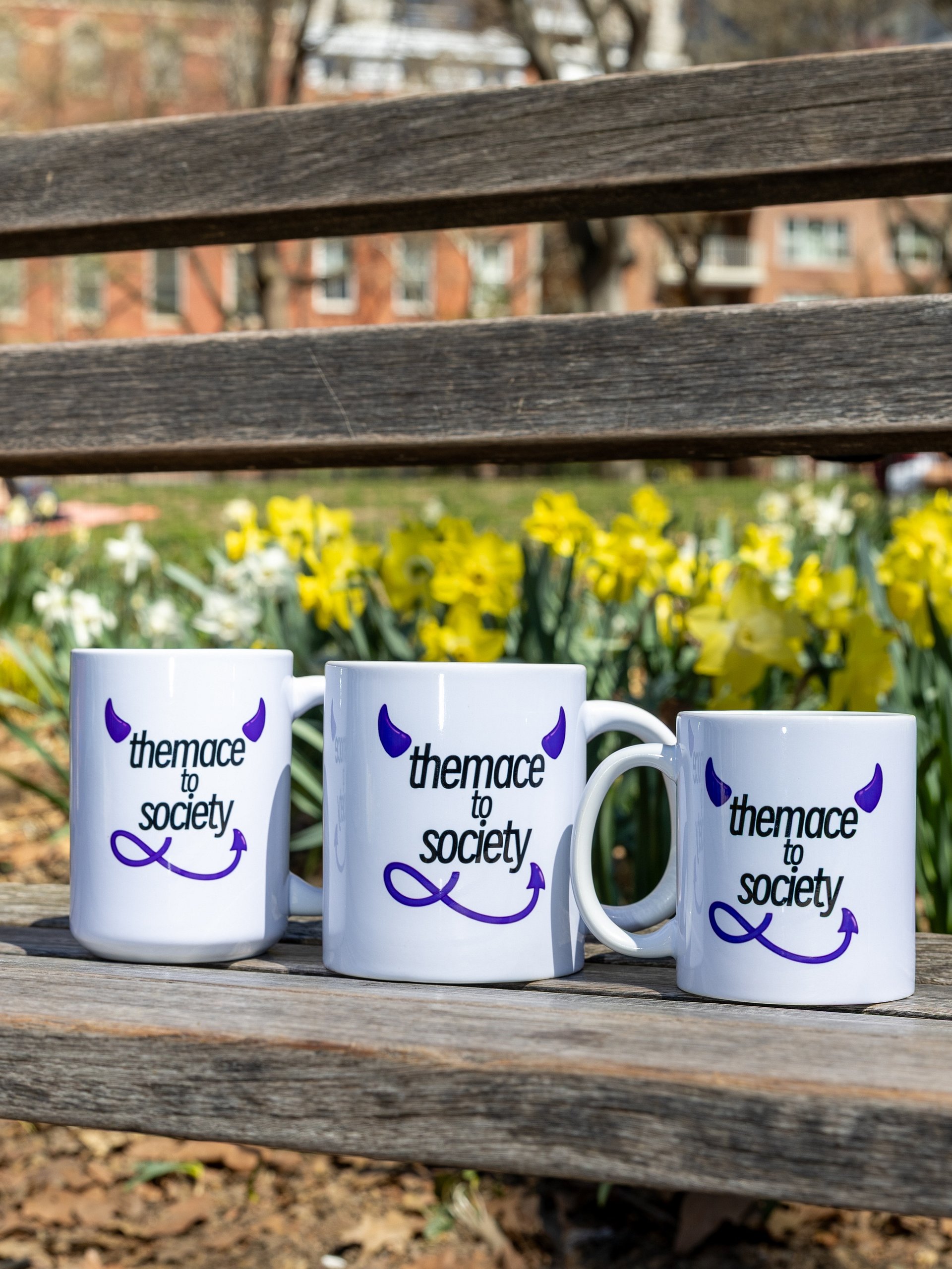 THEMACE TO SOCIETY Mug product image (1)