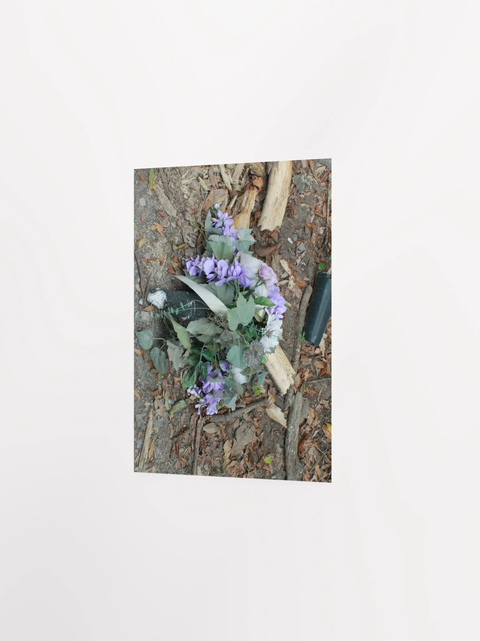 The Cockroach Named Hope product image (15)