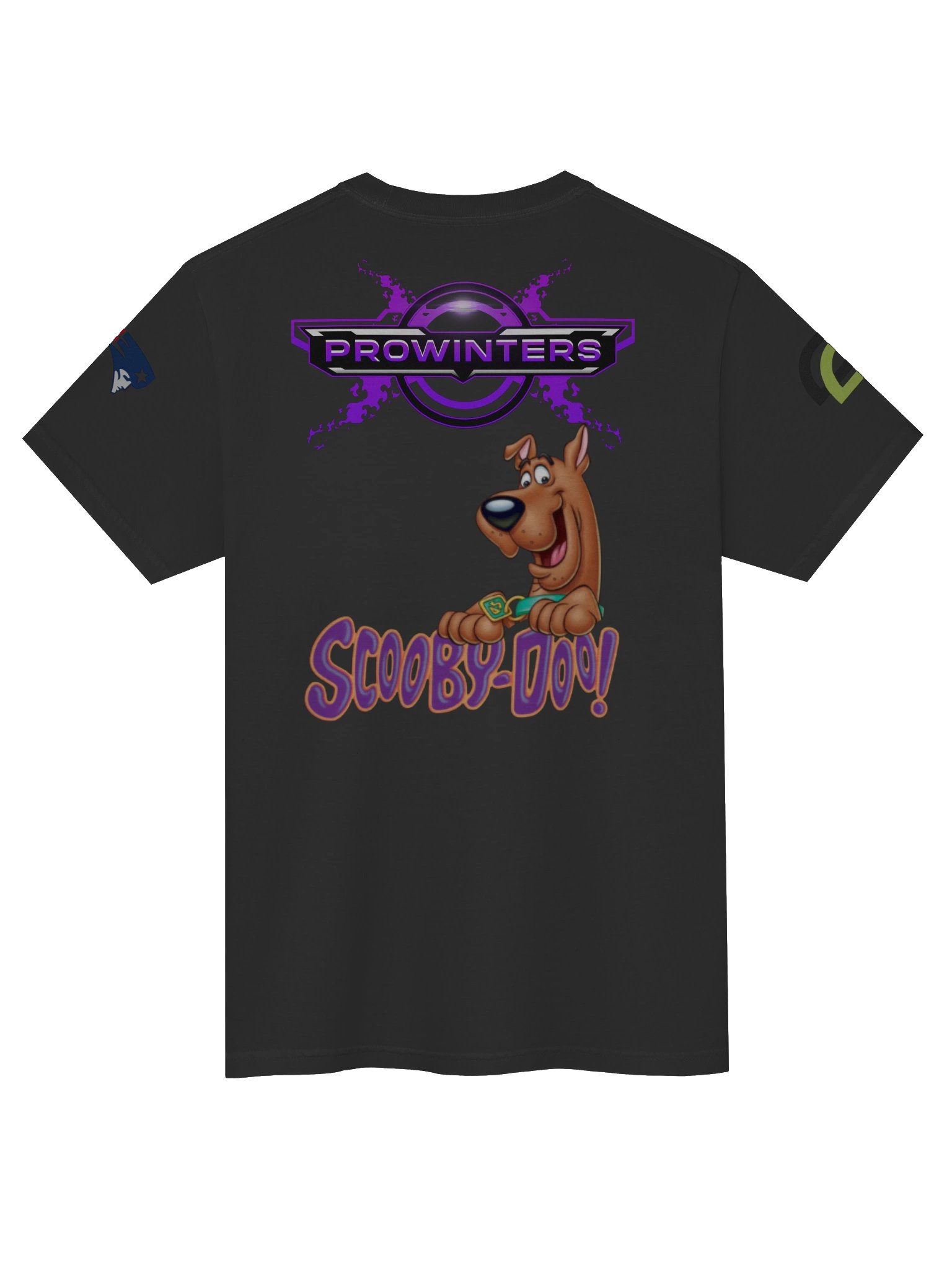 B1 Prowinters Tee! product image (28)