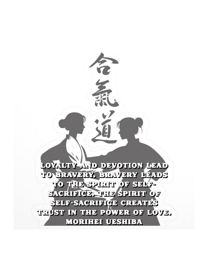 Aikido product image (1)