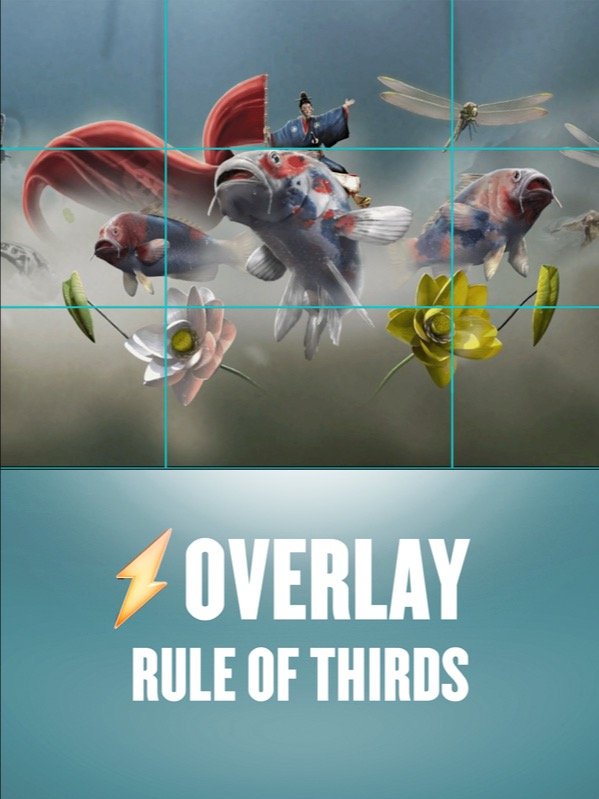 Rule Of Thirds Overlay product image (1)