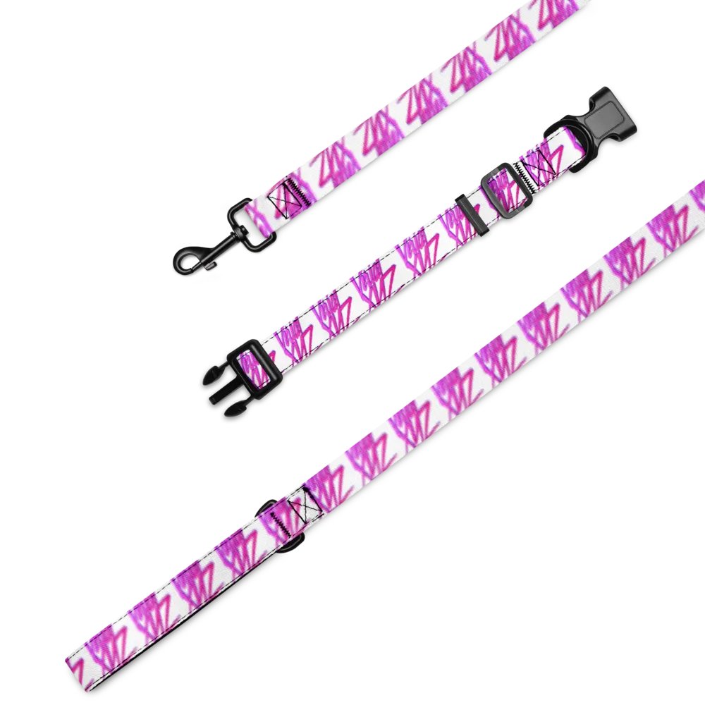 VirialXYZ Pet Collar & Leash Set product image (2)