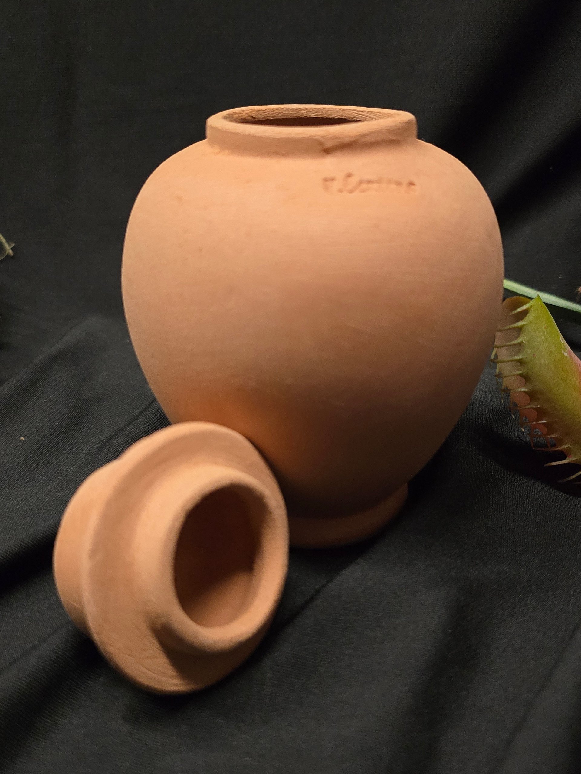Terracotta Houseplant Olla Watering System-Gothic Top product image (6)