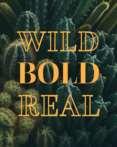 A Wild One:

🌵 Trusts their own sense of direction, even when no one else gets it.

🔥 Chooses the version of themselves that ...