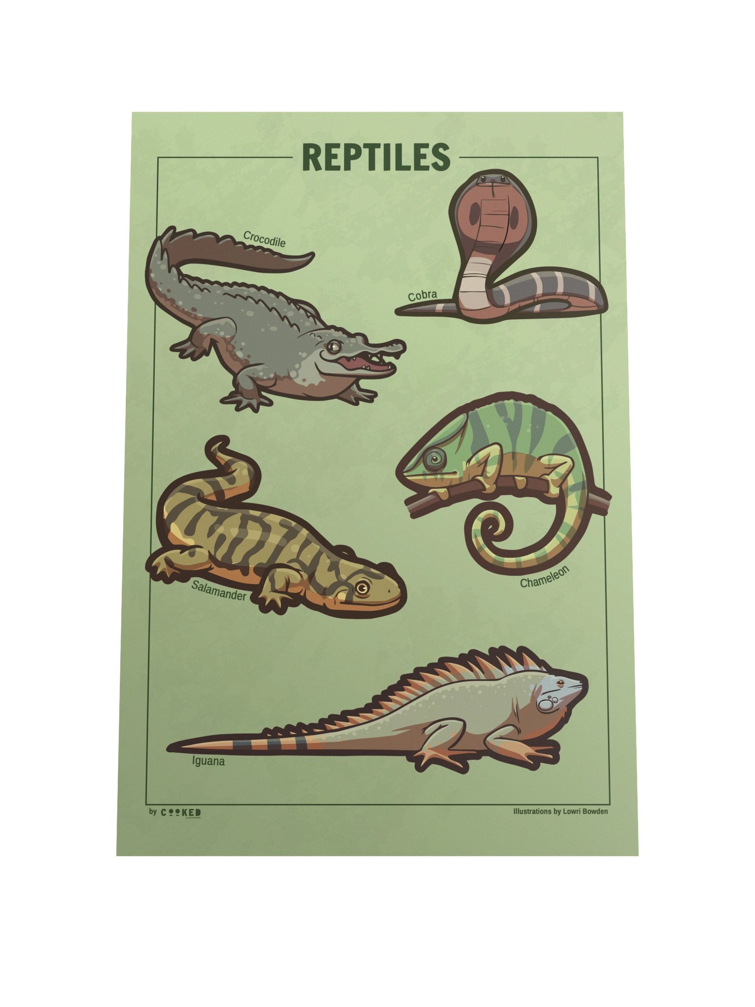 Reptiles Poster - 5 Illustrated Reptiles - Original Illustrated Poster product image (3)