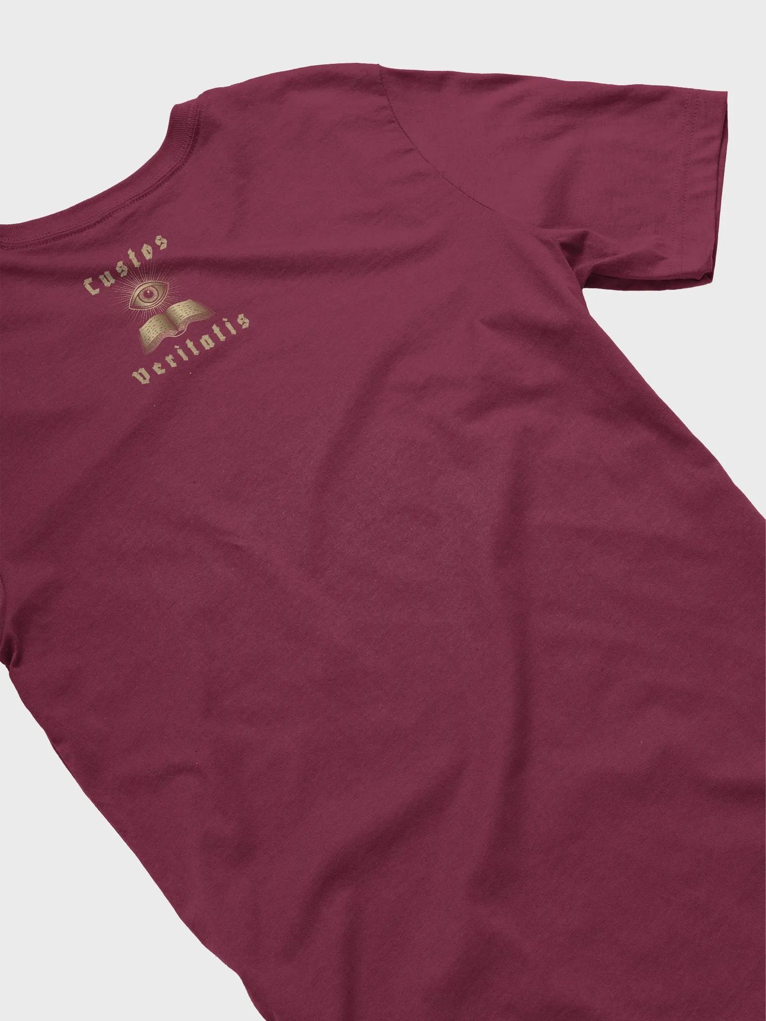 Enlightened Guardian T-Shirt product image (4)