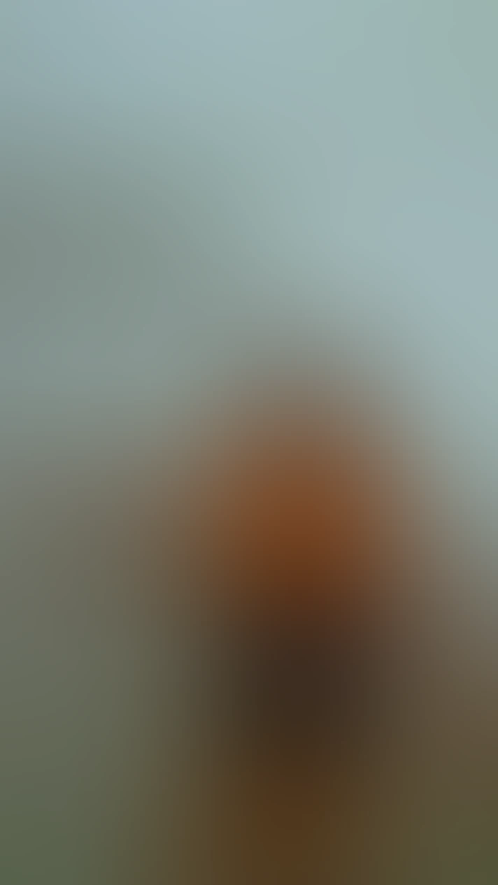Video thumbnail background