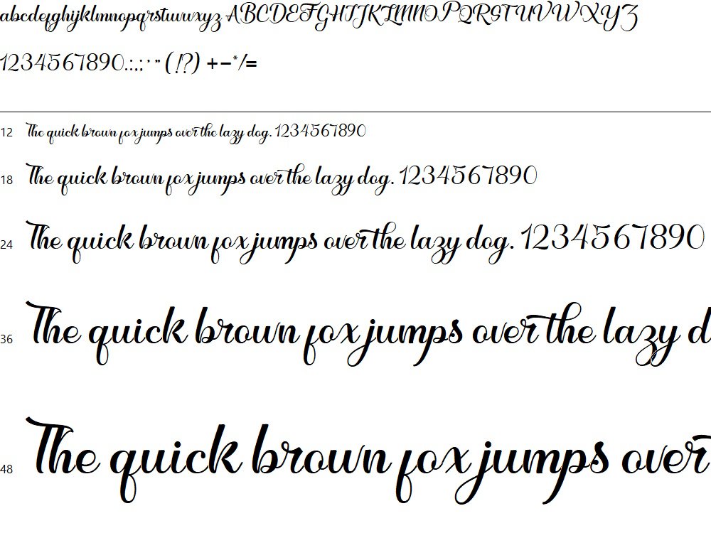 Feronica | Stylish Script Font | The Digital Printcess