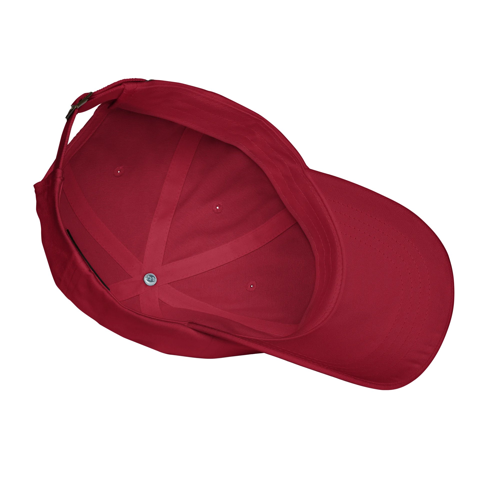 Dad Hat - Classic Logo. product image (7)
