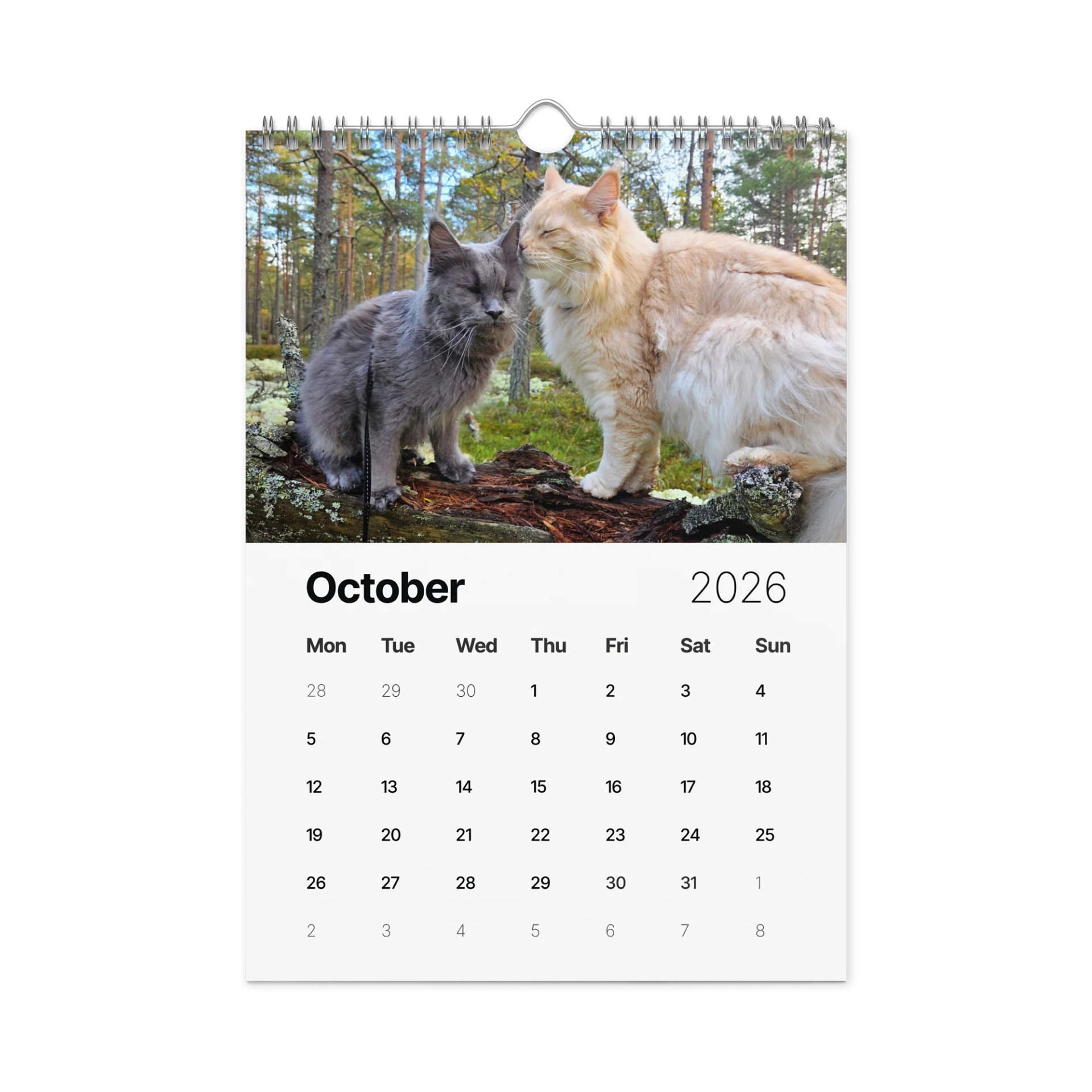 2026 Calendar - Maine Coon Adventures + Kittens product image (9)