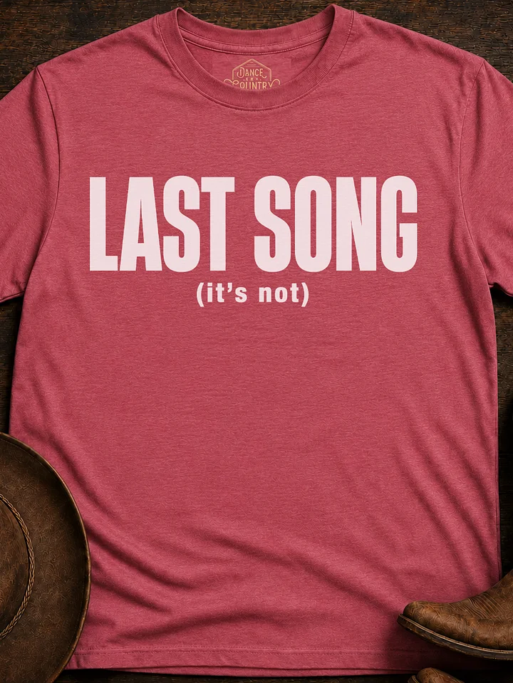 Last Song product image (21)
