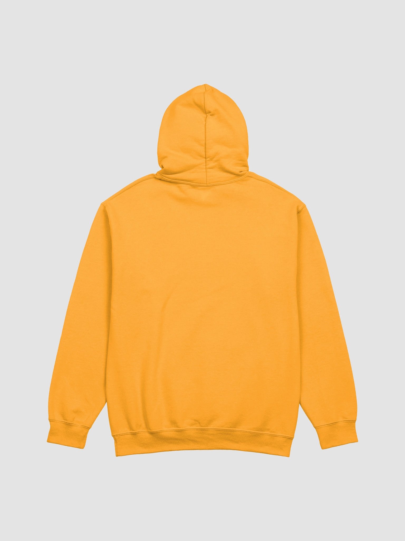 Faithful Warriors Christian Gildan Hoodie. product image (19)