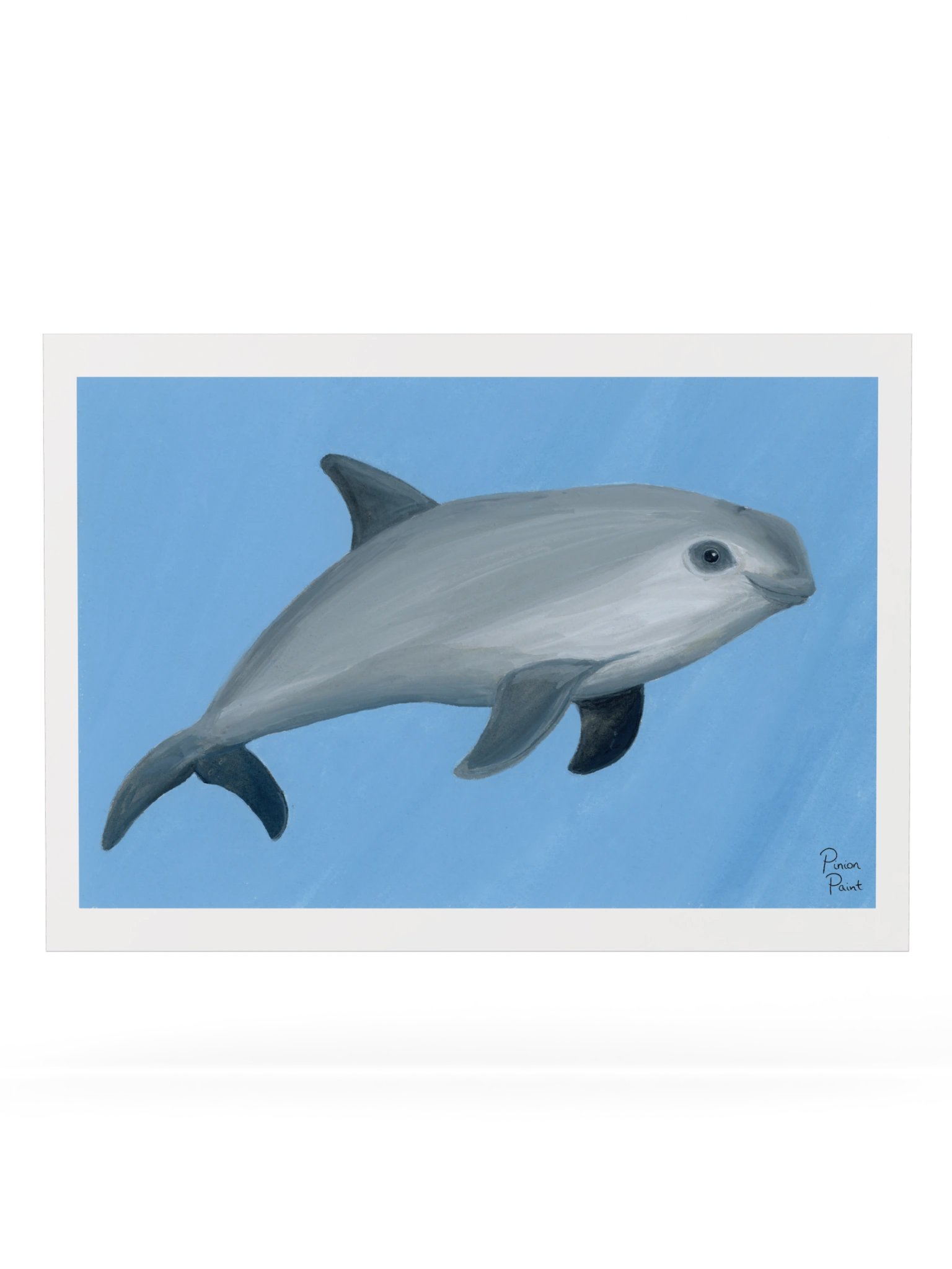 Vaquita print product image (1)