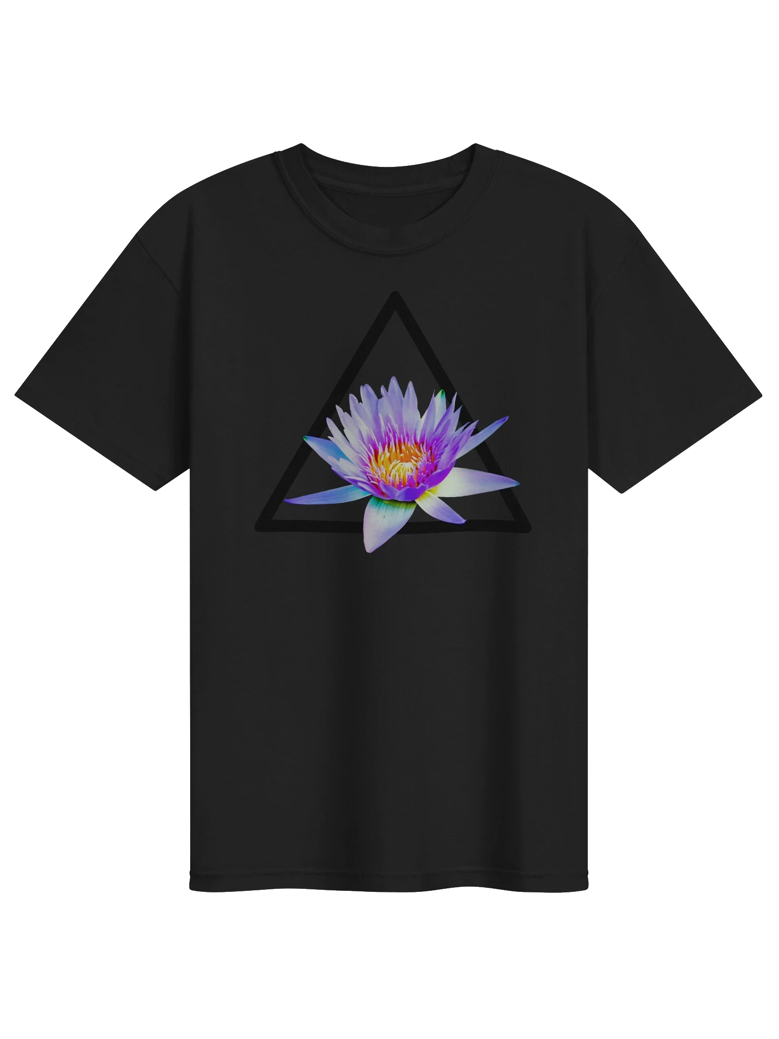 Beautiful Lotus