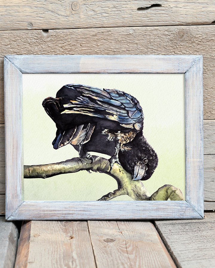 Harlow Raven Giclée Art Print product image (2)
